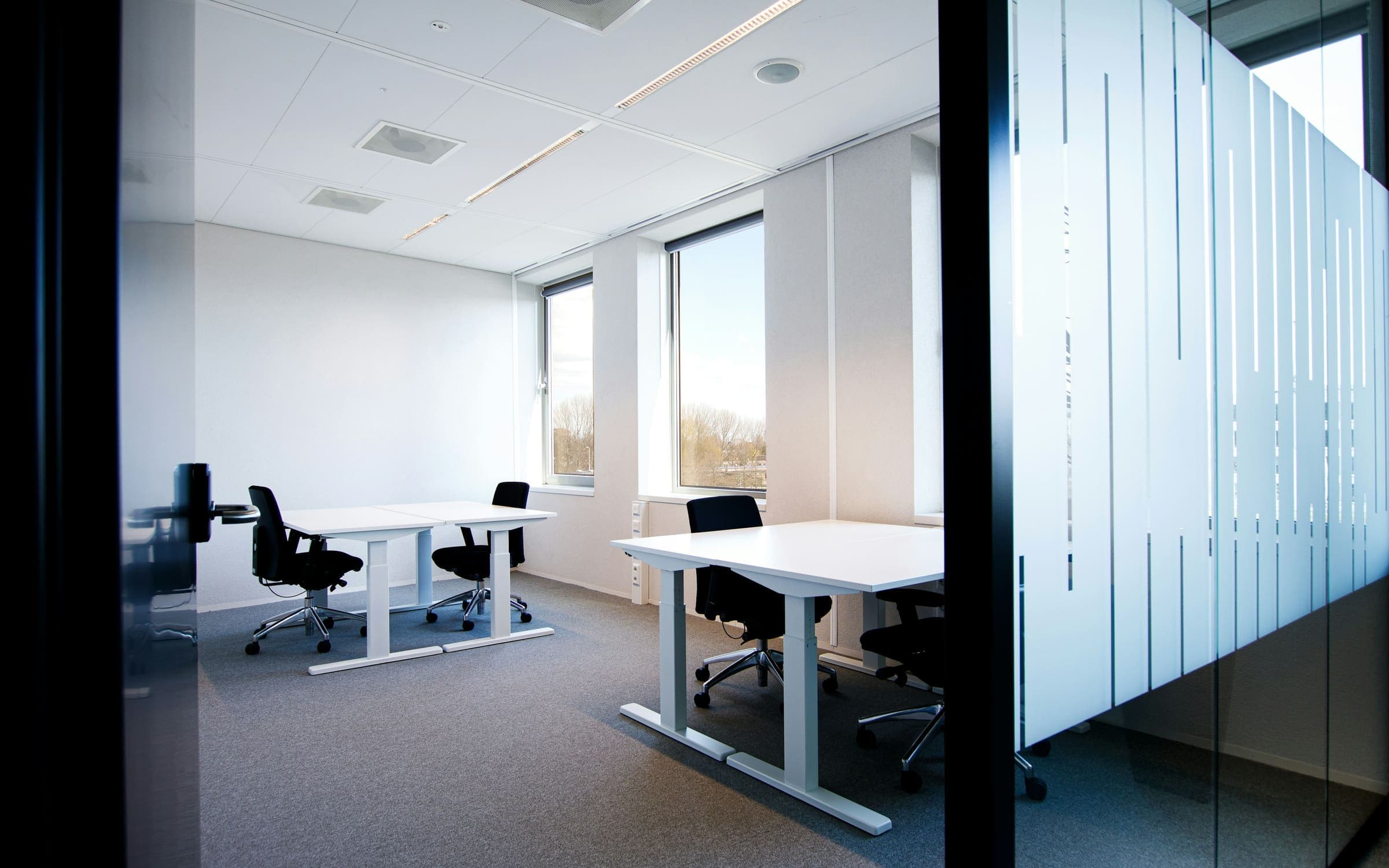 A bright, tidy office with white desks and glass partitions
